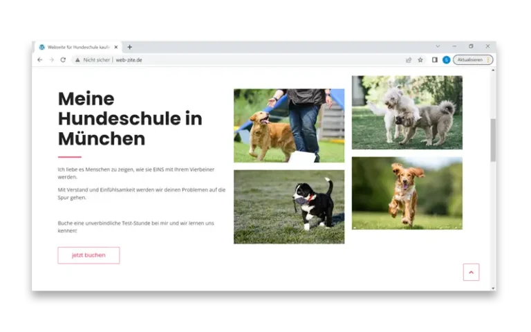 Website erstellen